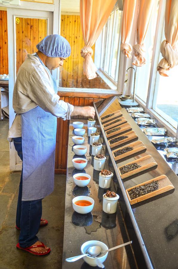 Tumsong Chiabari - The Tea Retreat Hotel Darjeeling  Exterior foto
